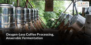 Anaerobic Fermentation
