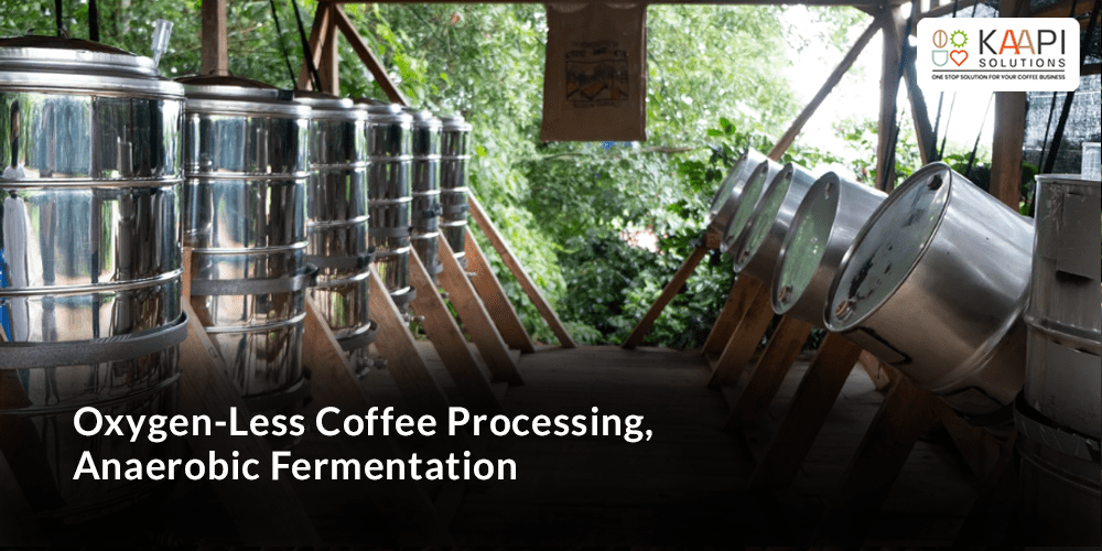 Anaerobic Fermentation